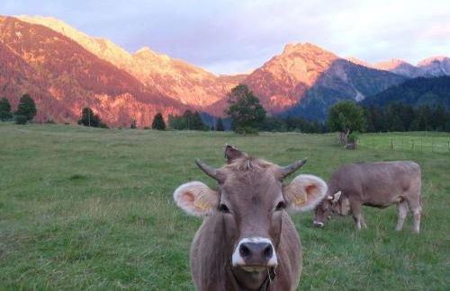 Haus Angelika - Foto 14