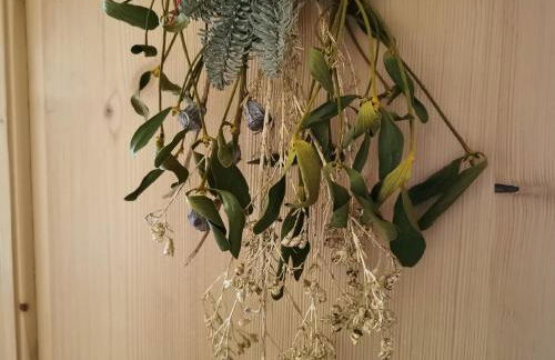 Vista Pelmo - Foto 17