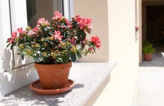 Apartment Viveniti - Foto 17