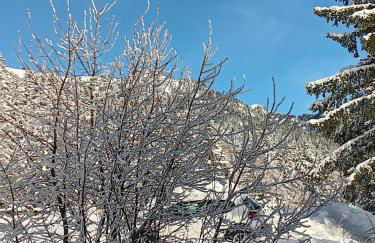 Les Arolles E23, classé 3 étoiles à Chamrousse 1700 - Foto 12