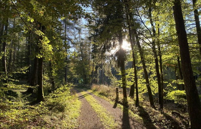 Attractive Apartment in Diemelsee - Photo 28