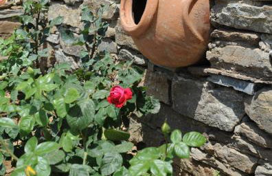 Akti Aegeou - Foto 19