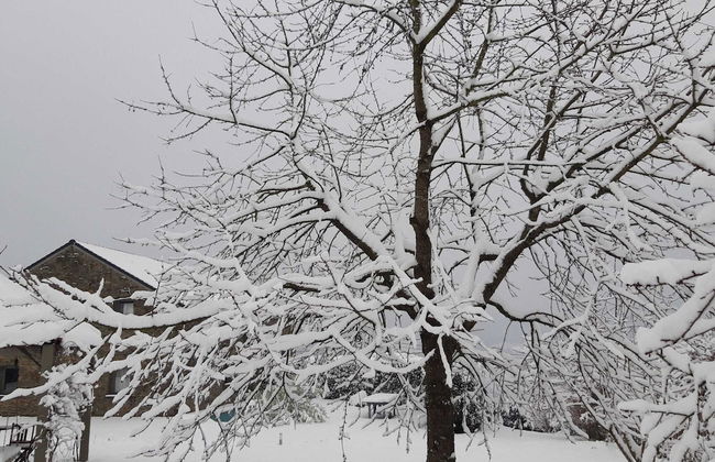 Charming Ardennes Getaway - Photo 42