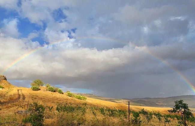 Nature Lovers Escape on an Eco-friendly Vineyard - Foto 28