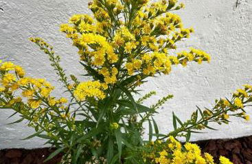 En bord de mer - Foto 14