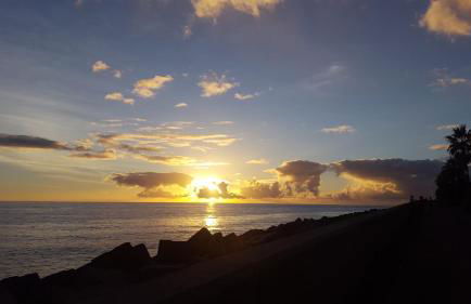 Casa do Louro - Photo 65