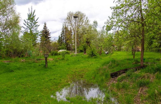 Waldblick Forest Retreat - Foto 28