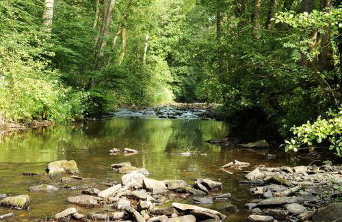 Burrills View - Foto 25