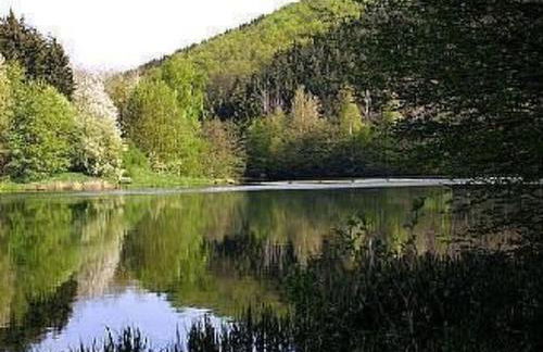 Apartment Ferien-Apartment 1 by Interhome - Foto 11