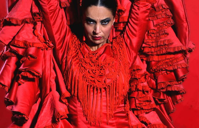 Teatro Flamenco Sevilla Show - Foto 1