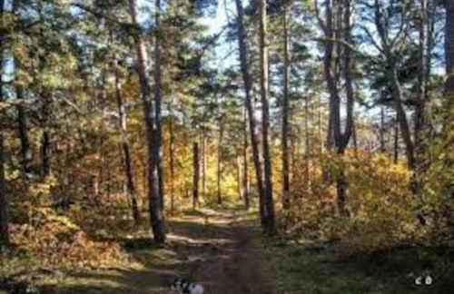 Champeix, maison confort 6 personnes - Photo 27