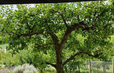 GREENHILLS Relax & Holiday House - Foto 5