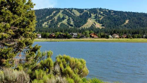 Large Bear Lodge by Big Bear Vacations - Foto 3