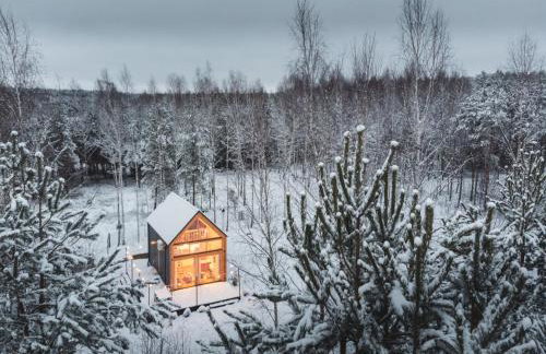 Miło las widzieć - Foto 65