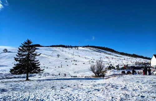 Dom w Górach Sowich Niedźwiedzia Gawra, Michałkowa - Foto 71