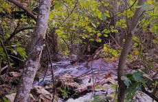 Casa Rural Lavanda con Piscina - Foto 63