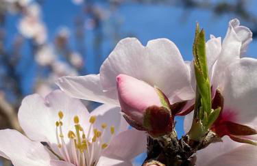 Casa do Cerro Rental - Foto 30