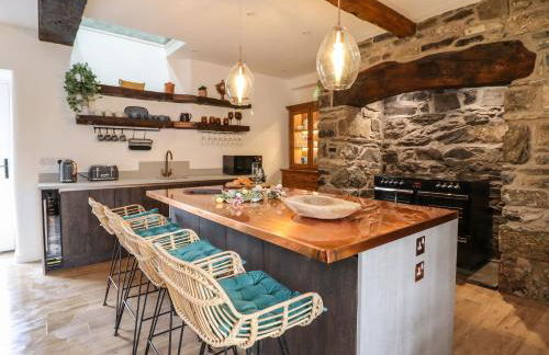 Plas Glan Yr Afon - Photo 10