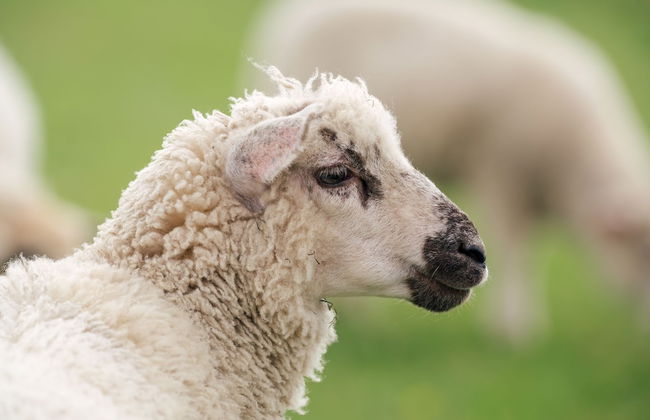 FEWO auf dem Lande - Foto 79