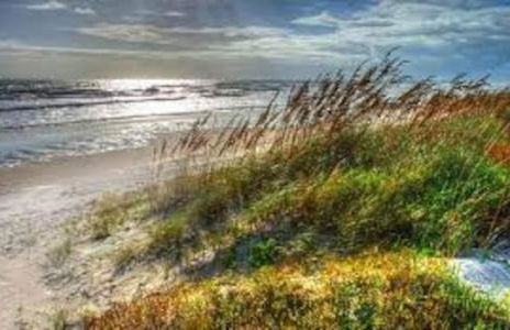 Beachfront 3BR Condo with Stunning Views Daytona - Photo 95