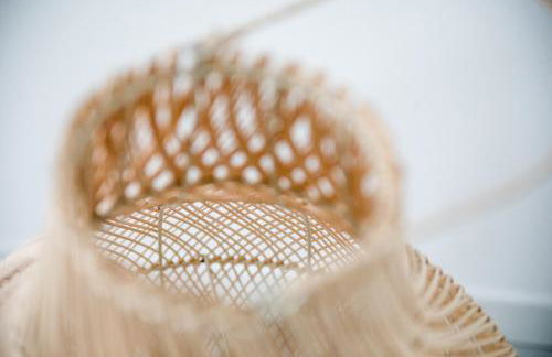 IseoLakeRental - Seliera - Photo 36