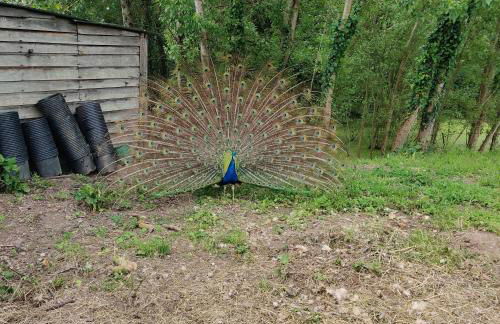 Tipi Dakota des monteaux - Photo 62
