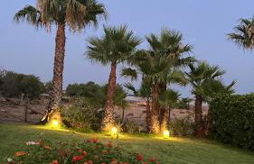 Masseria Boscorotondo - Foto 44