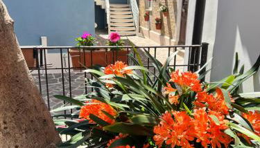 BLU CORALLO - Foto 3