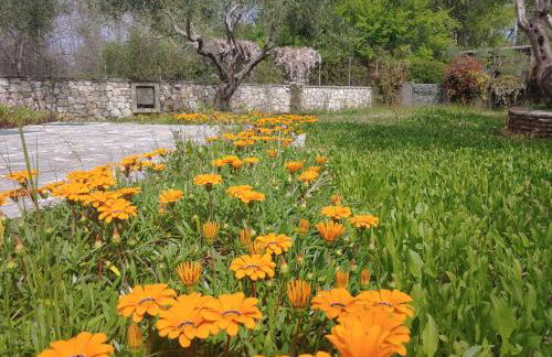Villa Leo 1 , Dassia , Corfu - Photo 16