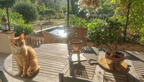 Villa La Ressourcerie a Saignon - Foto 5