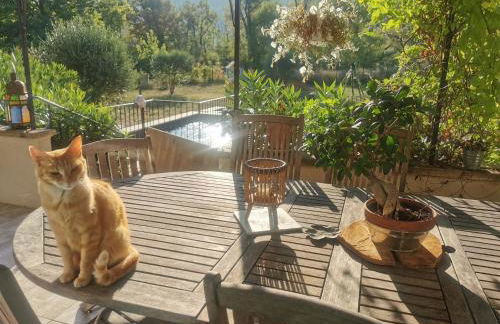 Villa La Ressourcerie a Saignon - Foto 5