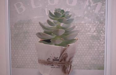 Apartman Patrik - Foto 10