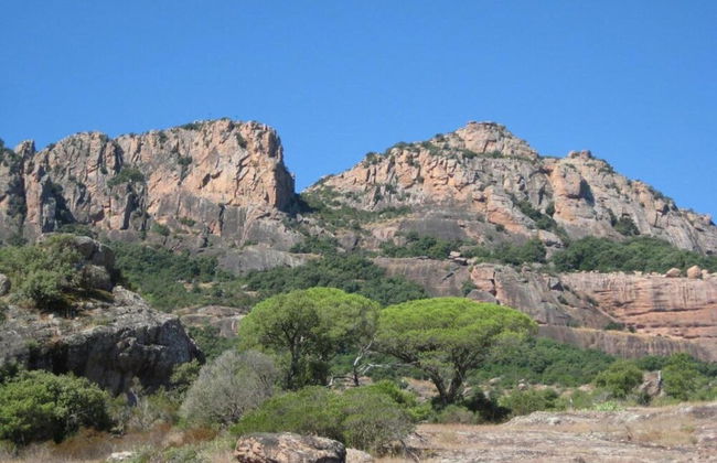 Beautiful Holiday Home With Swimming Pool - Photo 39