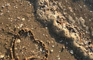 Capt'n Eike - Foto 39