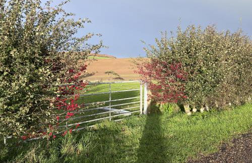 Poachers Hut 1-bed Cottage, Sleeps 2, Pet Friendly - Foto 27