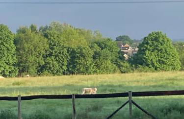 Elmcroft, Large House with Shepherds Hut - Foto 51