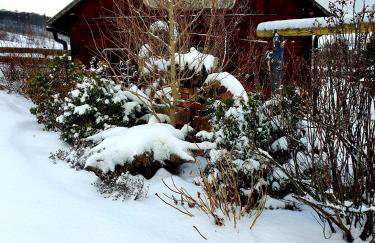 Agroturystyka Natura - Foto 13