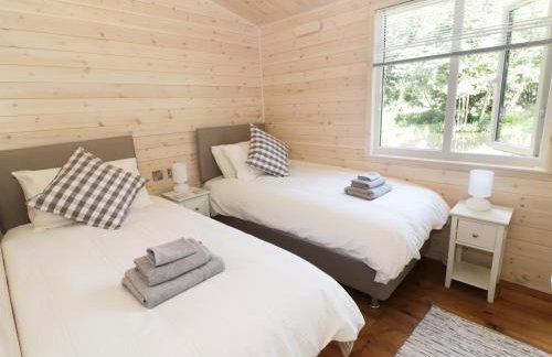 Kingfisher - Foto 12