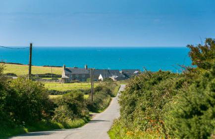 Oyster Catcher - Foto 4