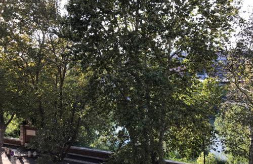 La Riva Sinistra - Photo 12