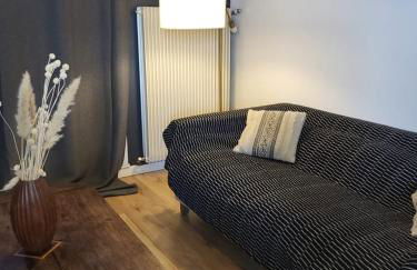 Black and White - Joli appart à Tours - Foto 3