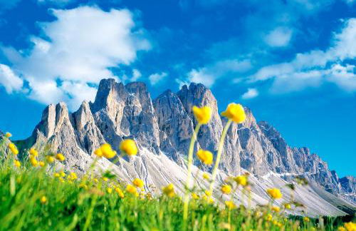 Art Apartment Schatzer - Photo 15