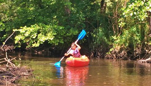 Vakantie Woning Le Chat Maison 175 - Foto 5