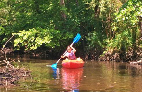 Vakantie Woning Le Chat Maison 175 - Foto 5