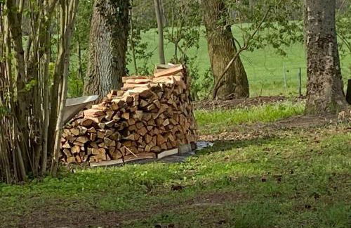 Landhaus Lange3 Moderne Kunst - Photo 31