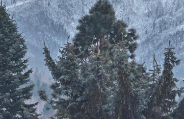 Apt FIONA1 Centrum700m Parking Bezpłatny Monitorowany Salon TV Sypialnia TV Kuchnia Łazienka Rekuperacja - Photo 58