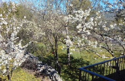 Antonia & Arian - Foto 24