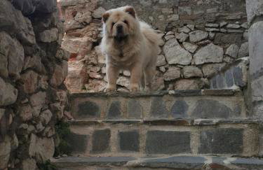 Tisno Resort - Photo 46