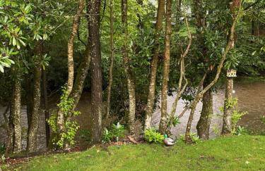 River Run Cottage Modern 2BR Waterfront Retreat in Linville Land Harbor - Foto 17