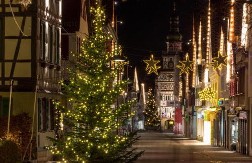 Altstadt Apartments - Foto 53